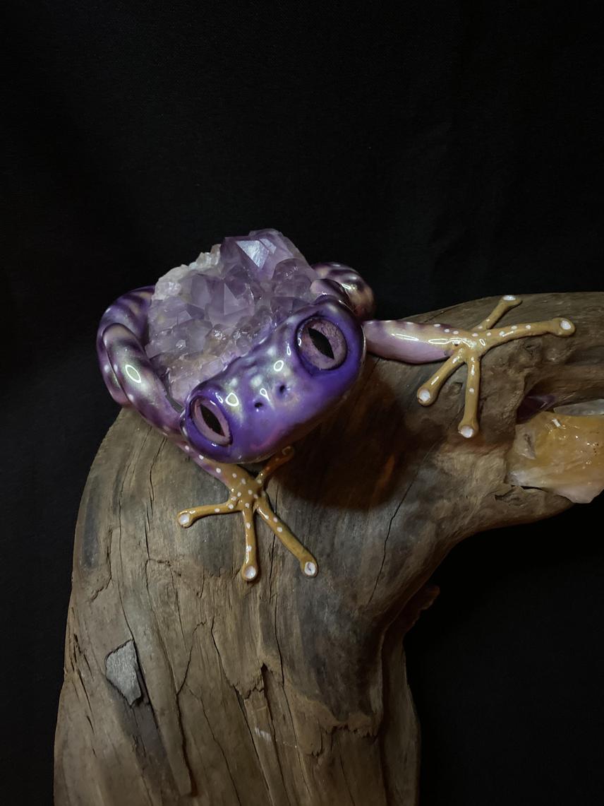 frogs
